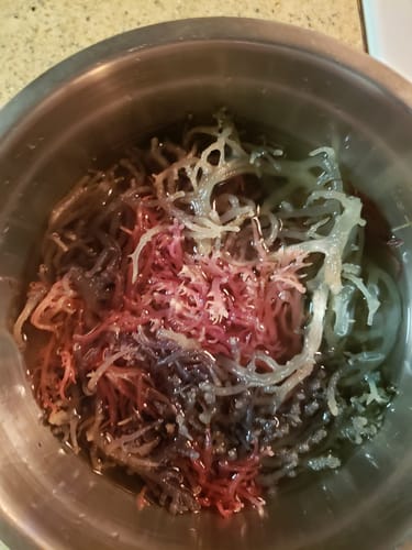Customer photo review of Raw Full Spectrum Sea Moss
