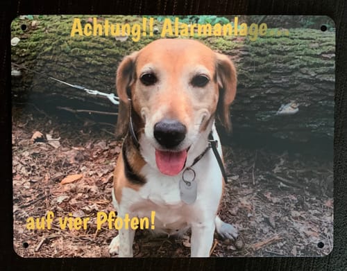 Customer photo review of Hunde-Türschild mit Foto & Wunschtext (UV- UND WETTERFEST)