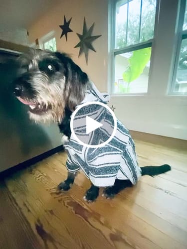 Customer video review of Playa Poncho - Surprise Color