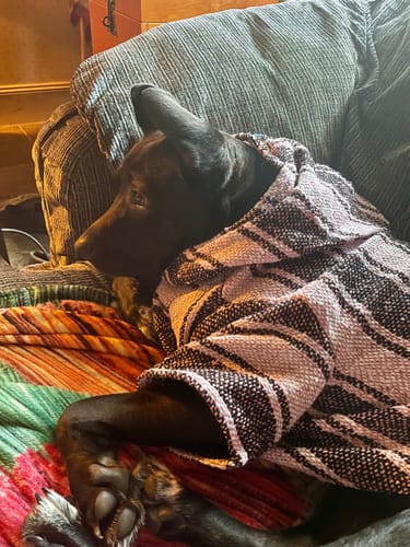 Customer photo review of Playa Poncho - Surprise Color