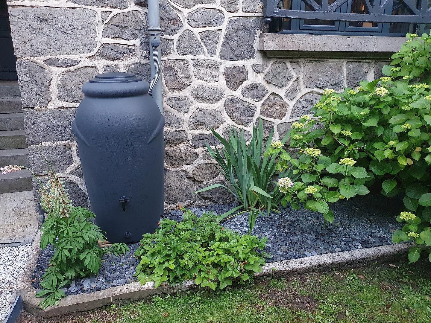 Customer photo review of Regentonne 210/360/440 Liter [Amphore Design] Regenfass Frostsicher aus Kunststoff - Regenwassertonne mit Wasserhahn