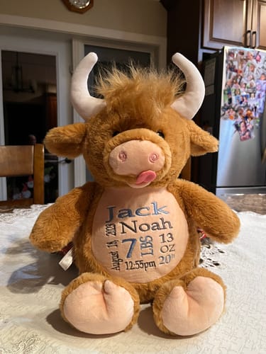 Customer photo review of Cubbies - Highland Cow