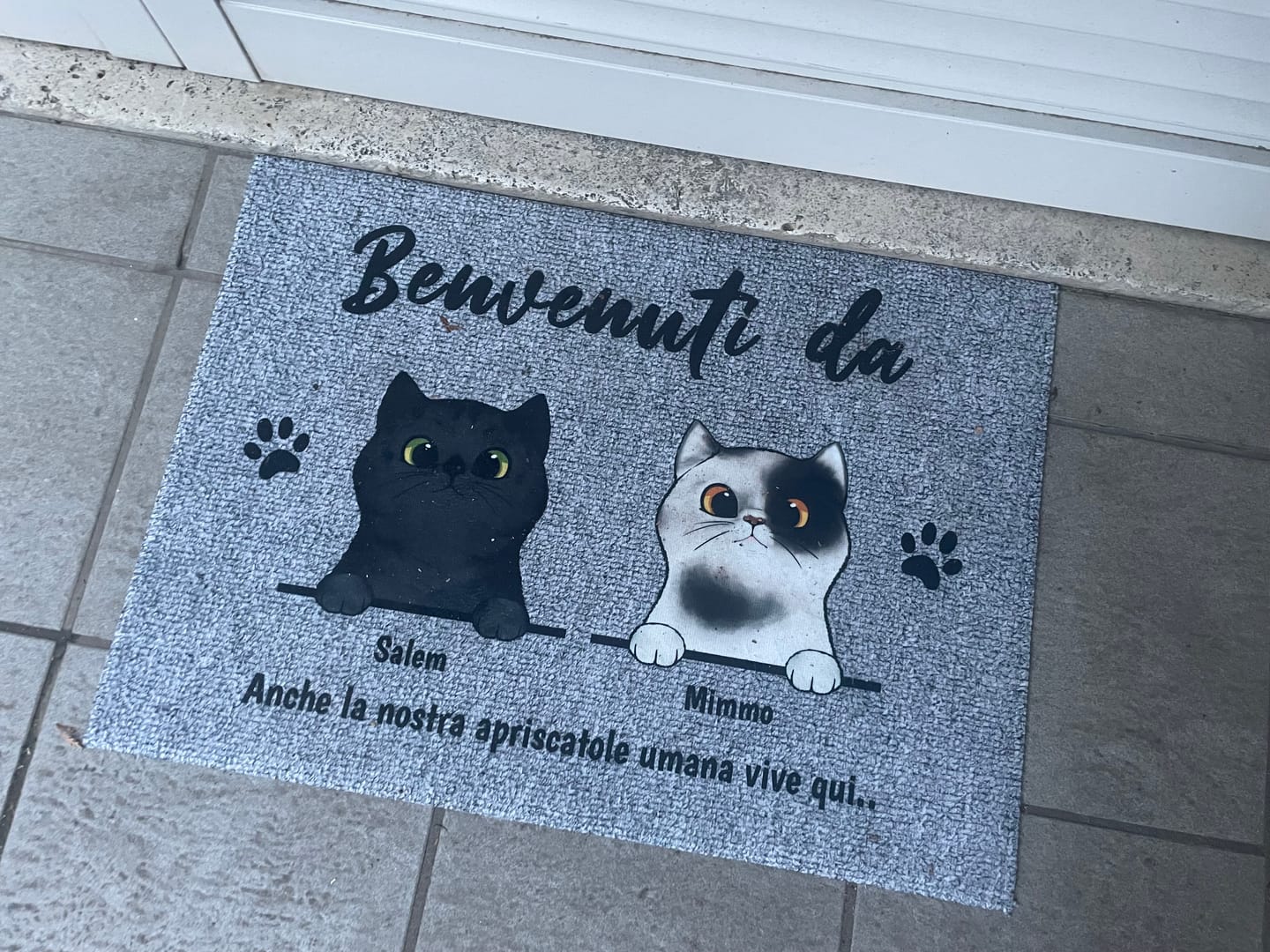 Customer photo review of Benvenuti da gatti curiosi - Zerbino personalizzato