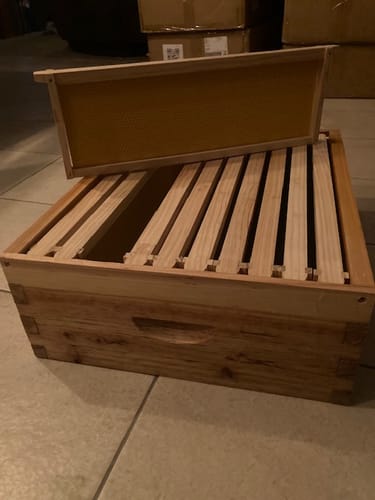 Customer photo review of BeeCastle Hives:10 Frame Wax-coated Cedar Wood Honey Super Medium Box with Unassembled Pine Wood Frame and 100% Beeswax Plastic Foundation