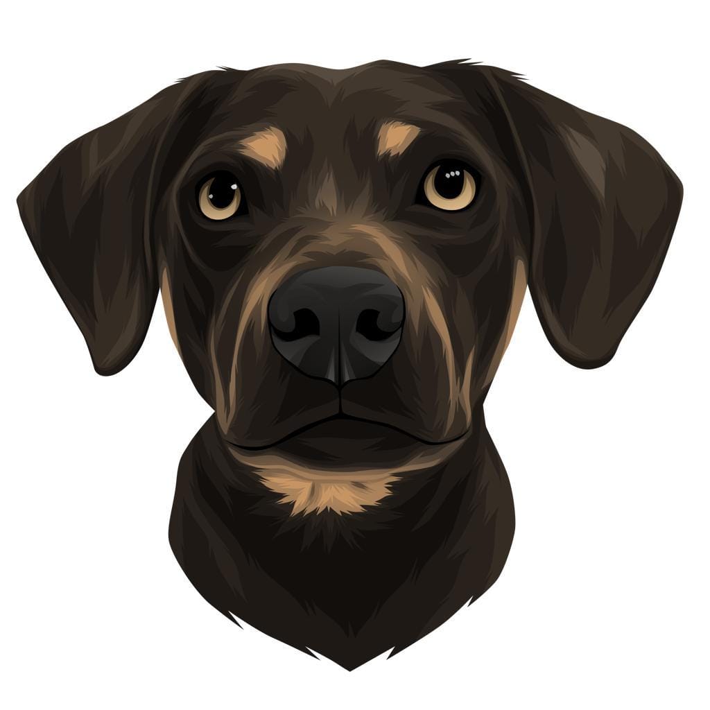 Customer photo review of Portrait deines Tieres