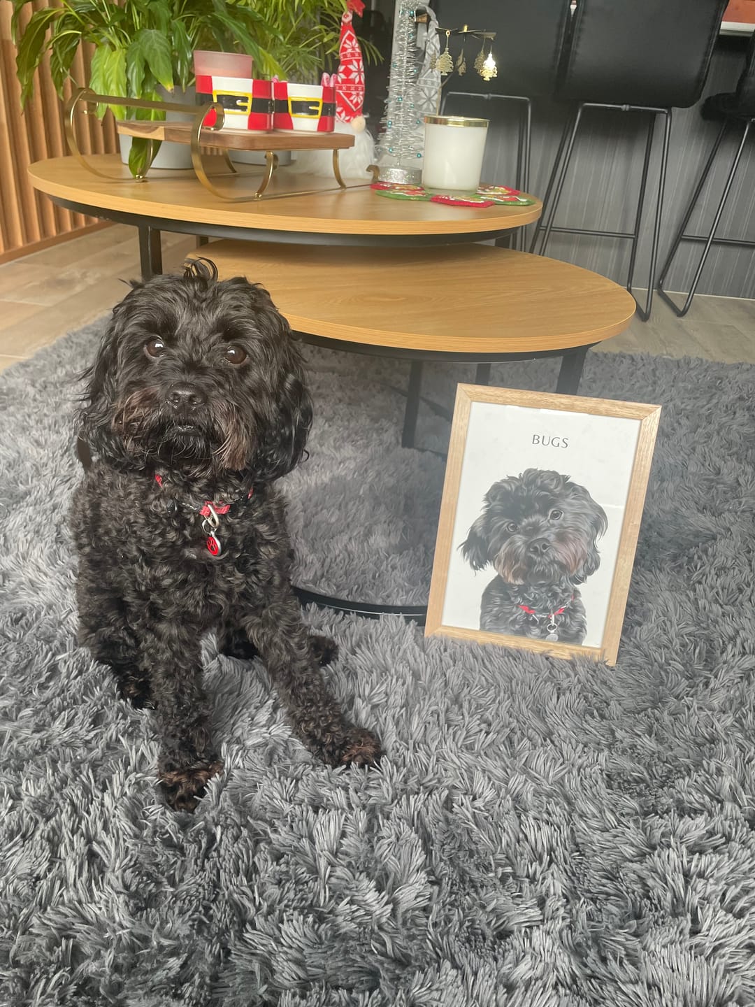 Customer photo review of One-Pet Portrait