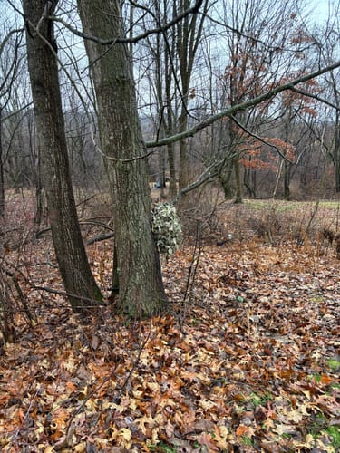 Customer photo review of Predator Ghillie™ Backpack Cover