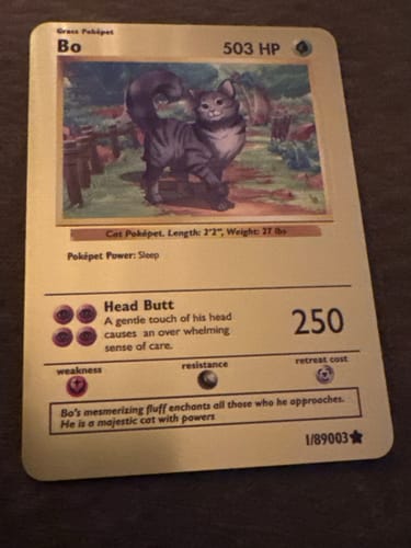 Customer photo review of Additional Metal Cards