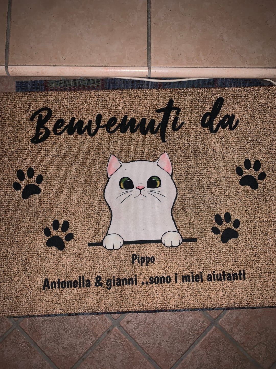 Customer photo review of Benvenuti da gatti curiosi - Zerbino personalizzato
