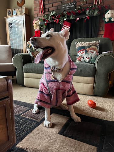 Customer photo review of Playa Poncho - Surprise Color