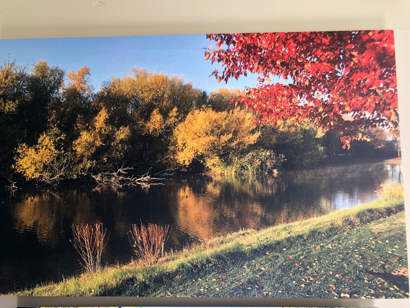 Customer photo review of 10.5 x 16.5 Wood Print