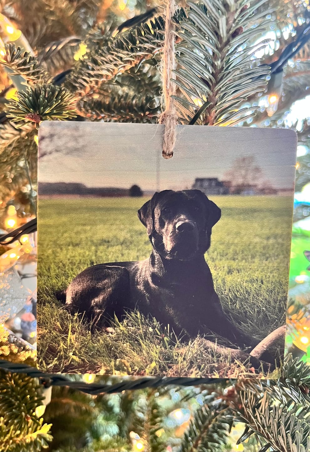 Customer photo review of 5 x 3.5 Wooden Ornament