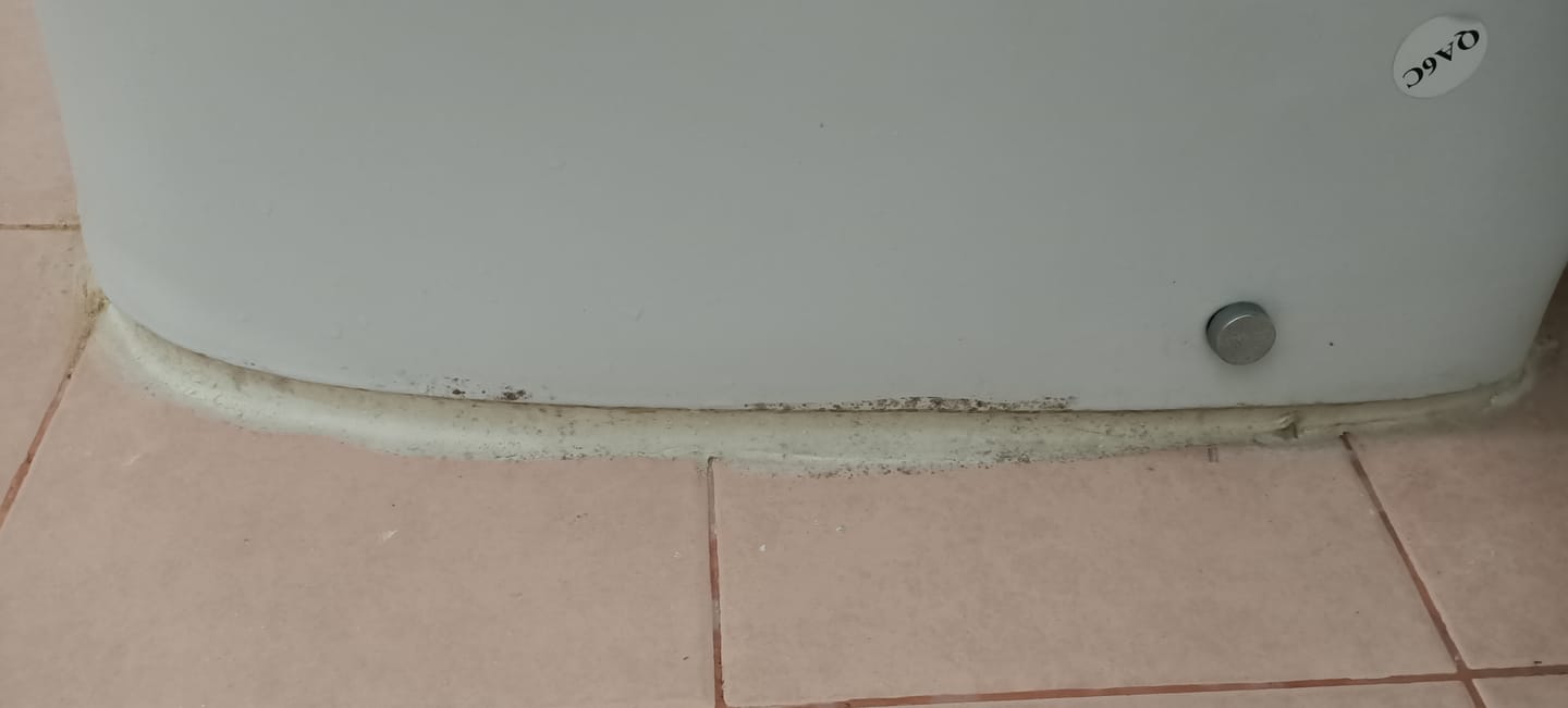 Customer photo review of Mold Remover Gel