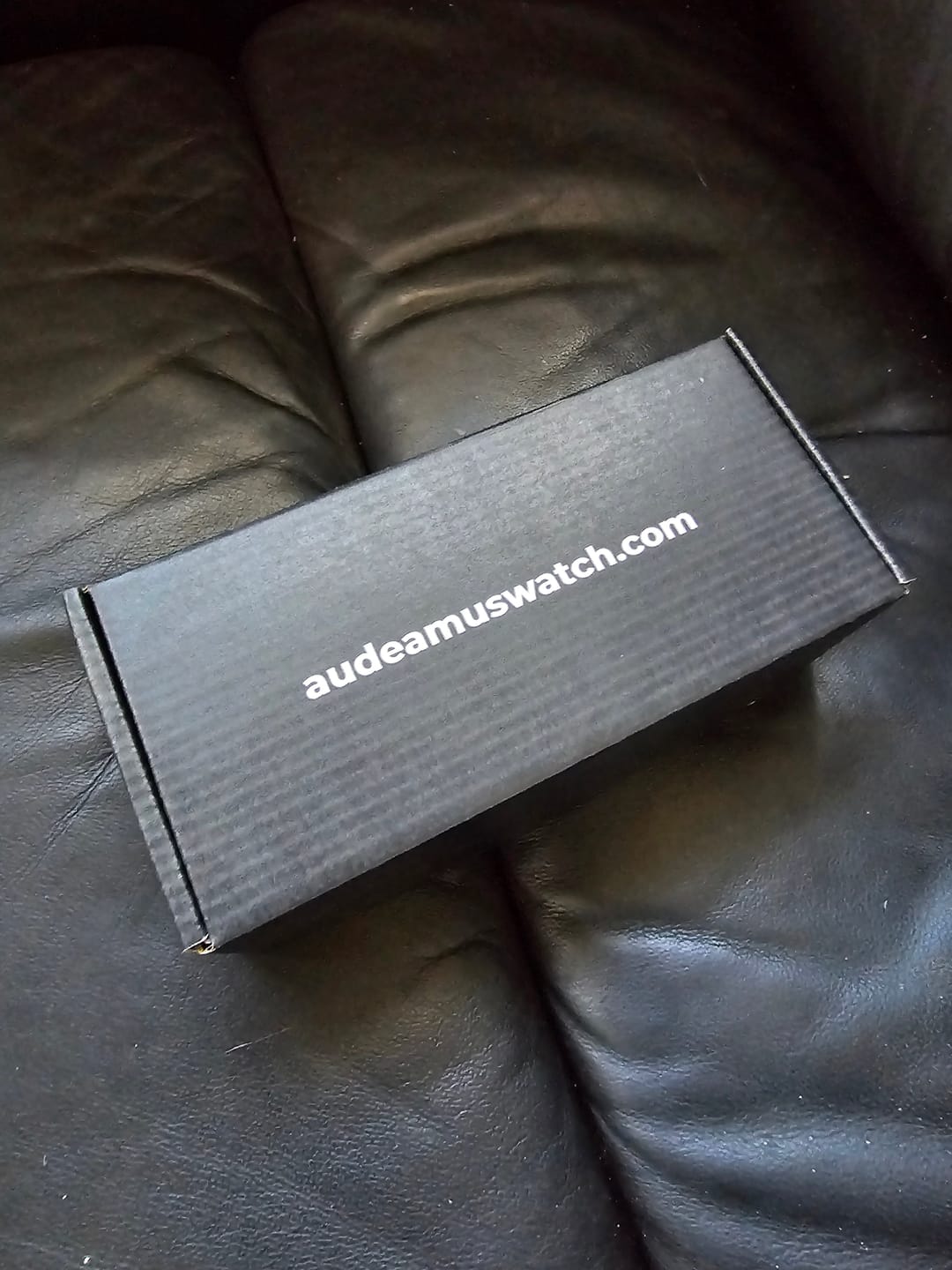 Customer photo review of Cleo Square Framed Sunglasses