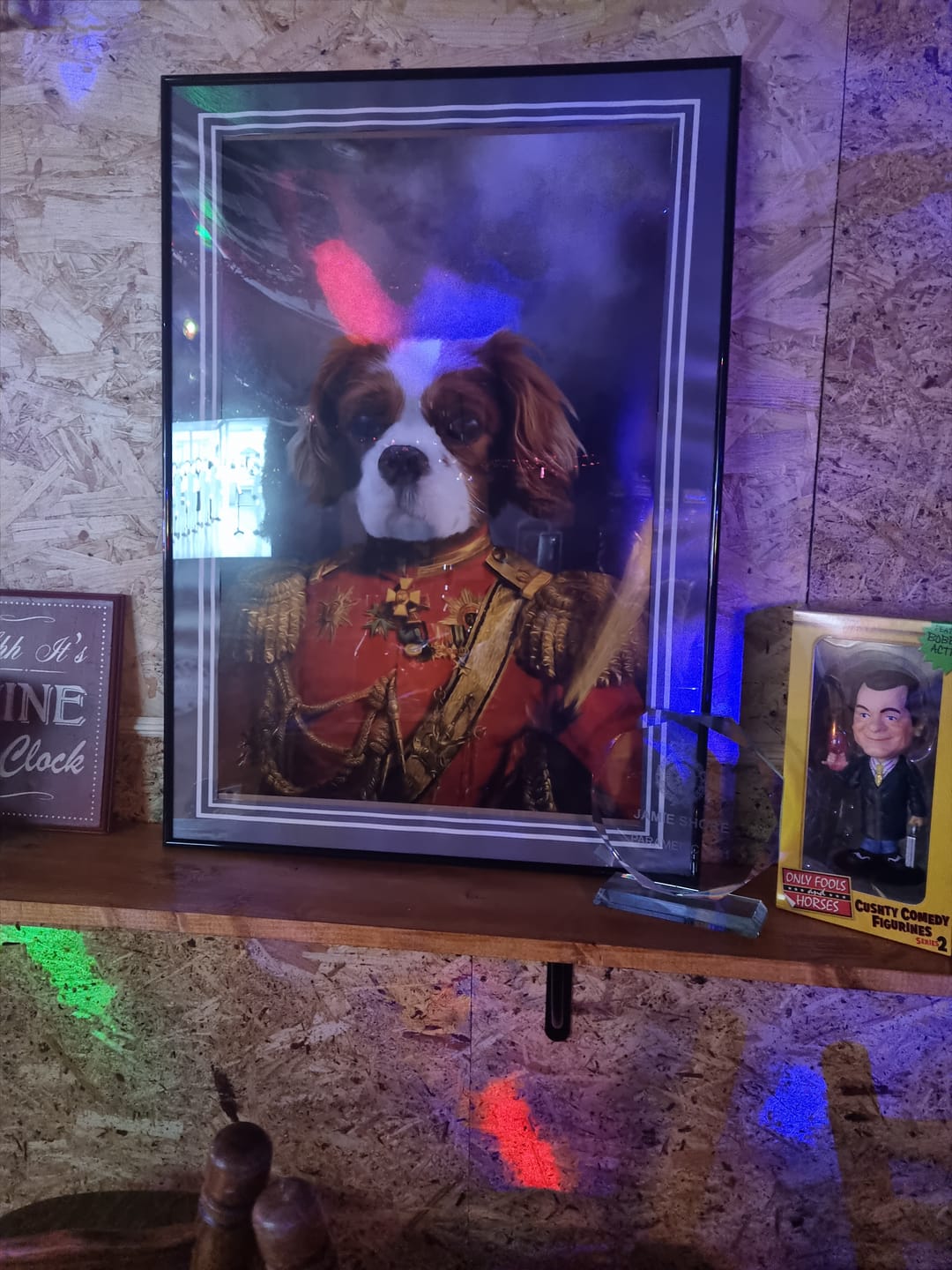 Customer photo review of The Duke: Custom Pet Portrait