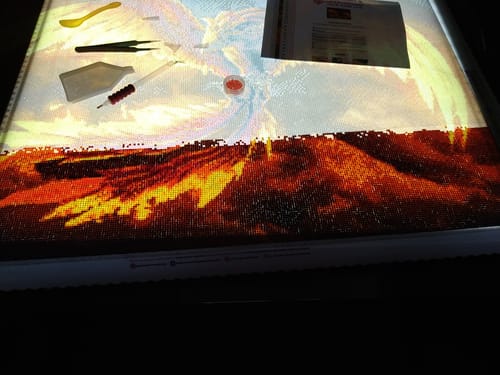 Customer photo review of 5D Diamond Painting Phoenix in Flammen