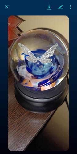 Customer photo review of Butterfly Snowfall Orb with Cremation Ash