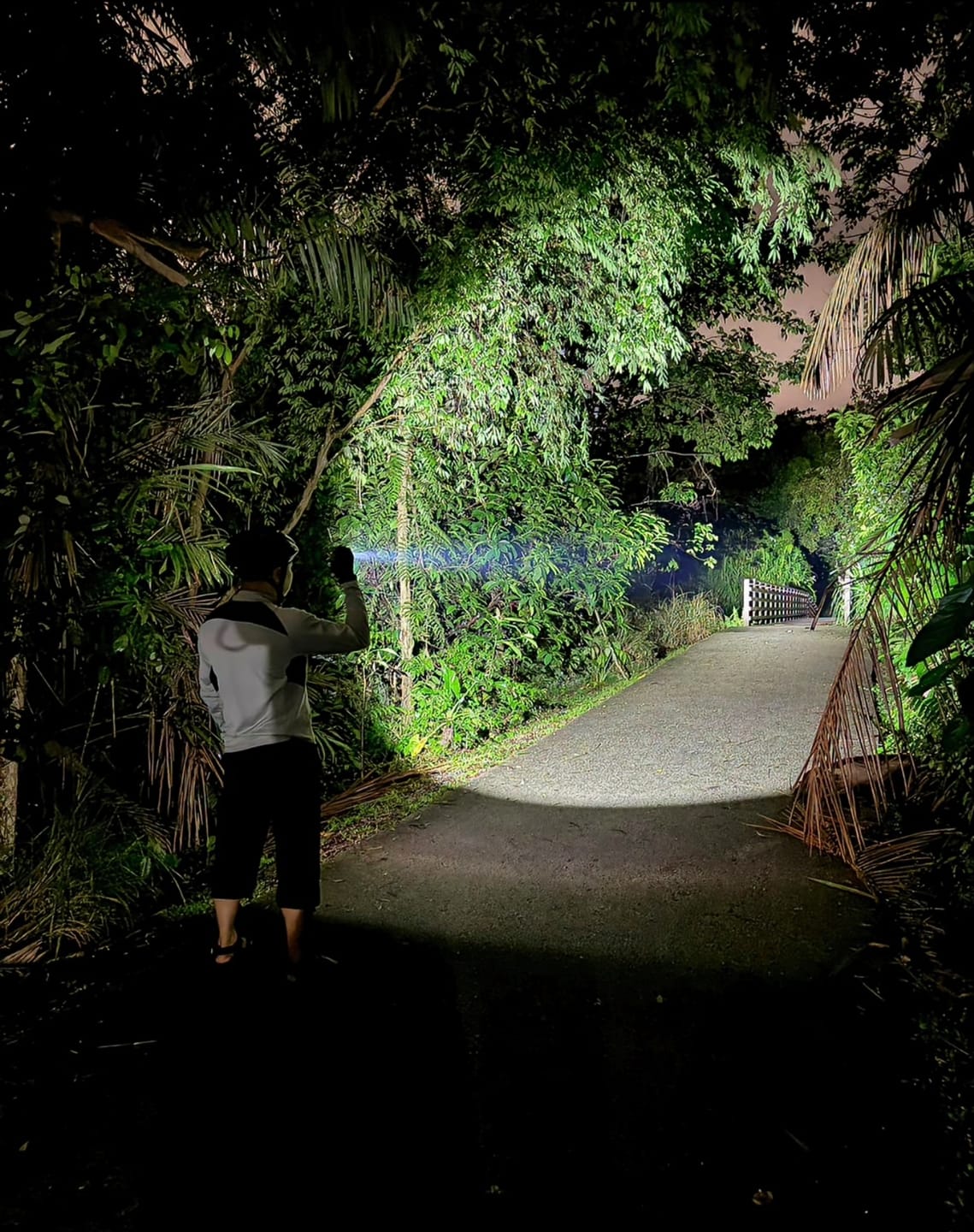 Customer photo review of EDC33 - 4000 lumens