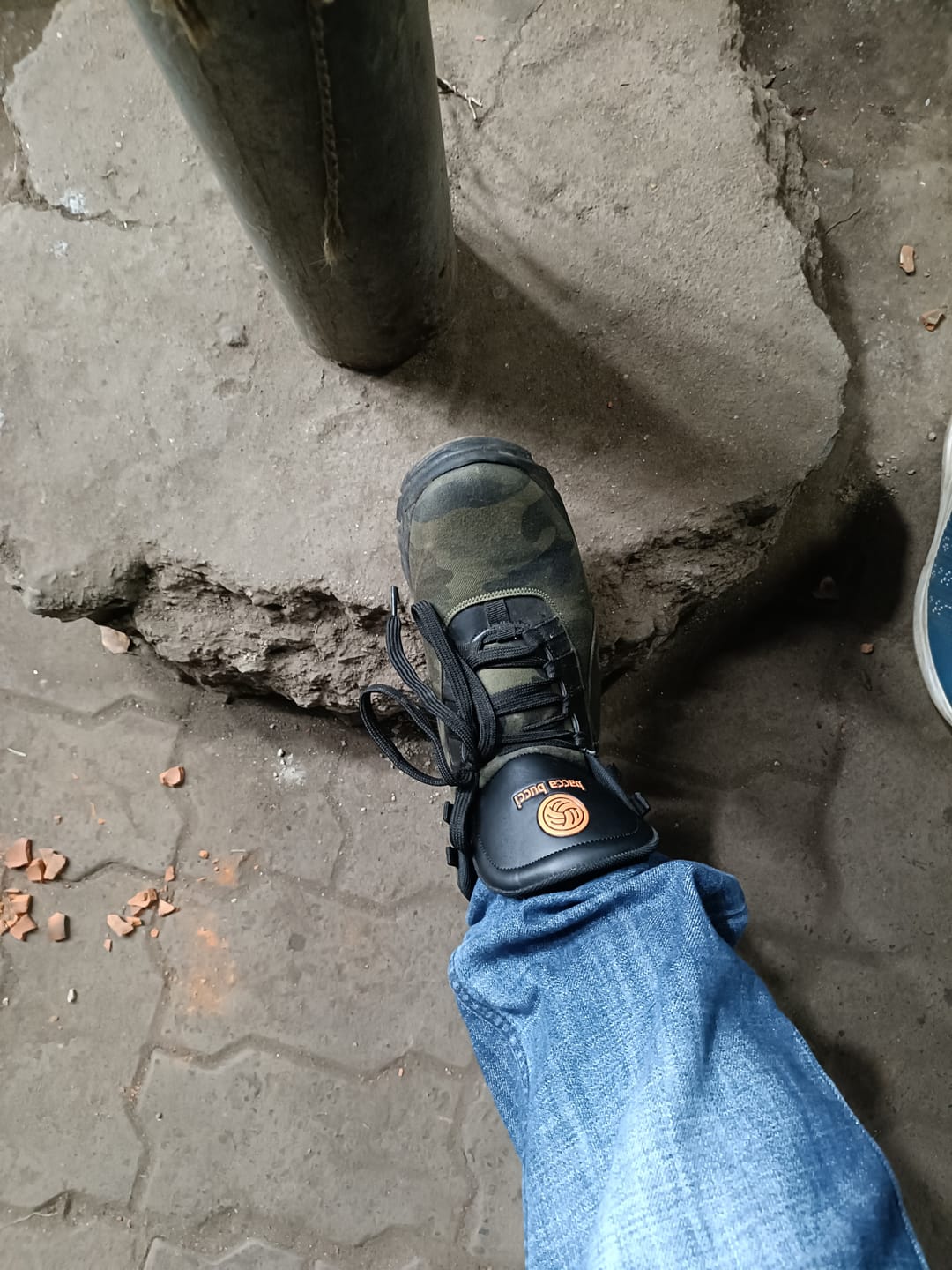 Customer photo review of Bacca Bucci Wolf