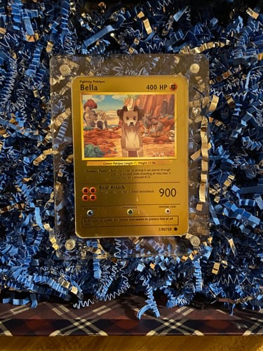 Customer photo review of Acrylic Case