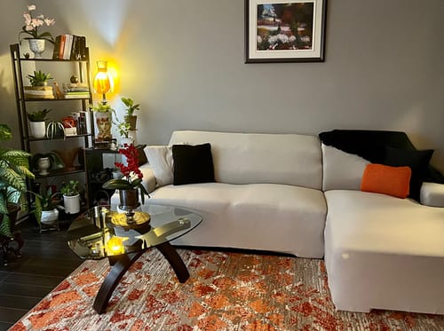 Customer photo review of L Shape Sofa Cover