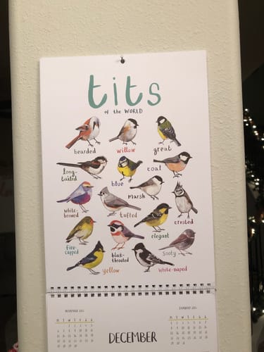 Customer photo review of 2024 'For The Pun Of It' Cheeky Wall Calendar