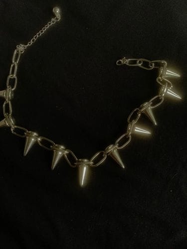 Customer photo review of Spike Choker