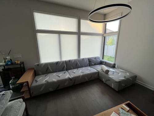 Customer photo review of L Shape Sofa Cover