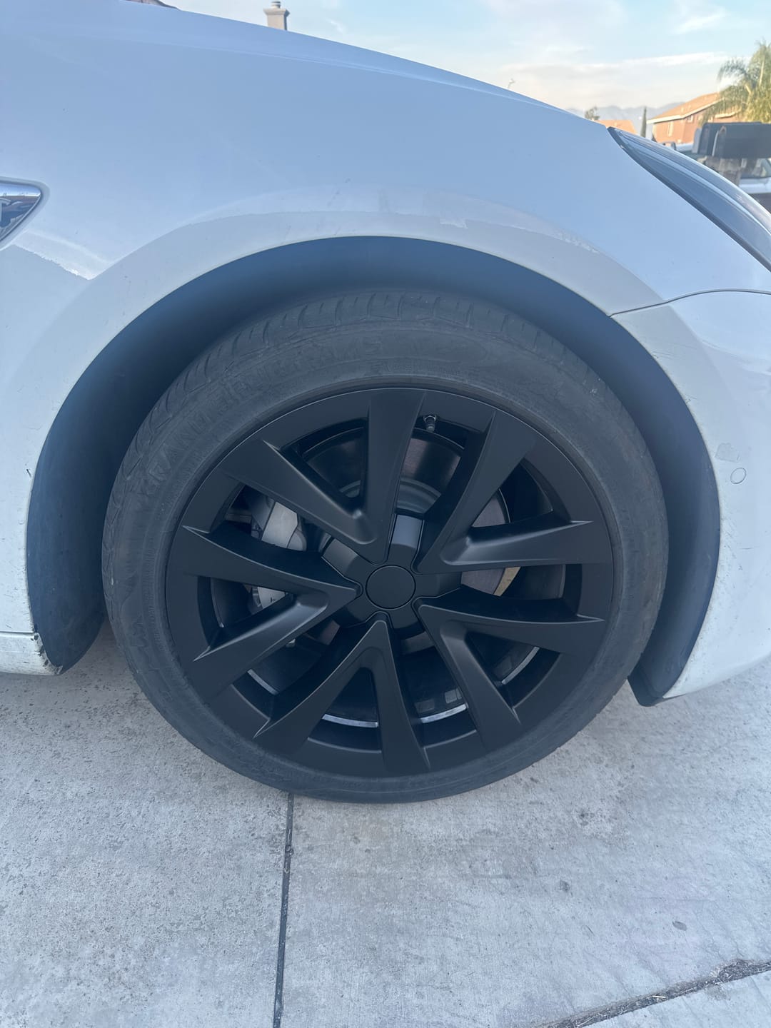 Customer photo review of TESPLUS 18'' Arachnid Style Wheel Cover for Model 3