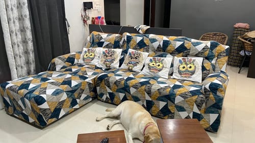 Customer photo review of L Shape Sofa Cover
