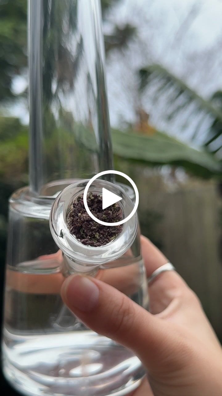 Customer video review of Summit Bong