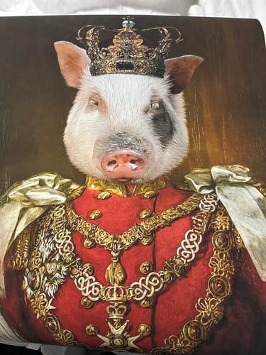 Customer photo review of The Prince - Custom Vintage Pet Portrait