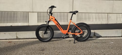 Customer photo review of Vakole SG20 20" 750W Fat Bike Electric Trekking Bike 48V 15.6Ah LG Battery
