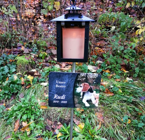 Customer photo review of Hunde Gedenktafel mit Foto & Spruch (UV- & Wetterfest)