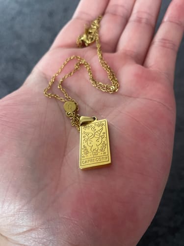 Customer photo review of The Zodiac Necklace