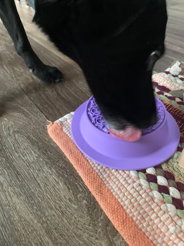 Customer photo review of Slow Feeder - Lick Pad Combo