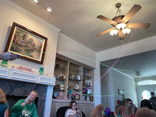 Customer photo review of ZipString® - The Original