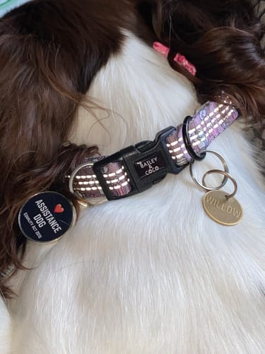 Customer photo review of Trail & Glow® Harness Bundle Set - Loves Me, Loves Me Not Daisy
