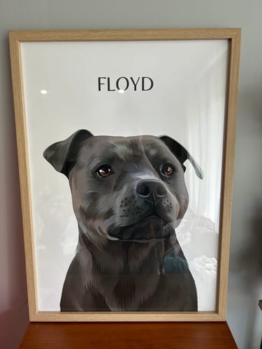 Customer photo review of One-Pet Portrait