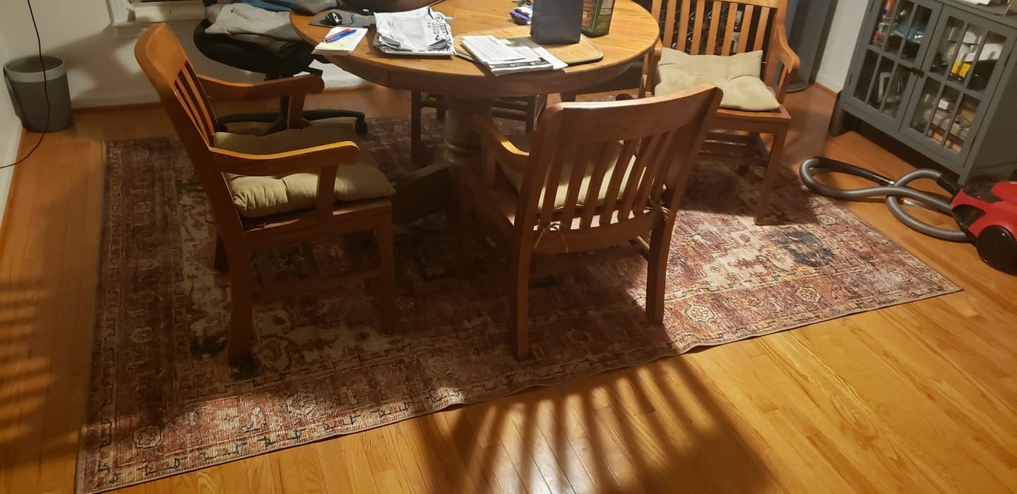 Customer photo review of Distressed Vintage Cezanne Terracotta Area Rug