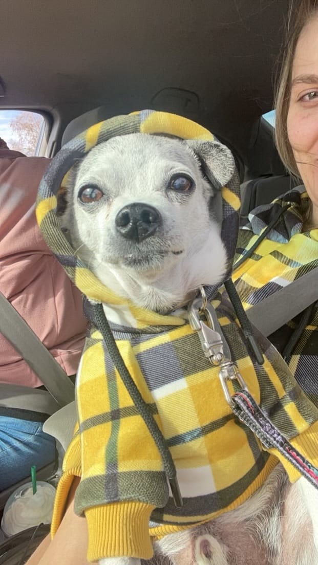 Customer photo review of Yellow Plaid Human Hoodie