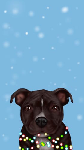 Customer photo review of Staffordshire Bull Terrier Christmas Phone Wallpaper