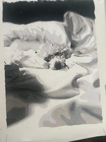 Customer photo review of Custom Paint By Numbers Kit - Upload Your Photo - Brush Set Included