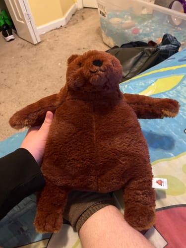 Customer photo review of SKOGGY BEAR