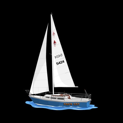 Customer photo review of Custom Digital Boat Artwork