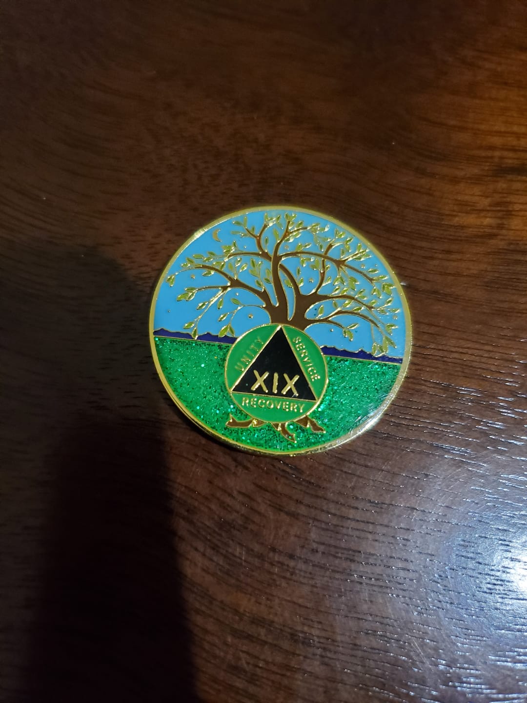 Customer photo review of 1 to 60 Year Tree of Life Specialty AA Recovery Medallion - Tri-Plated Chip/Coin