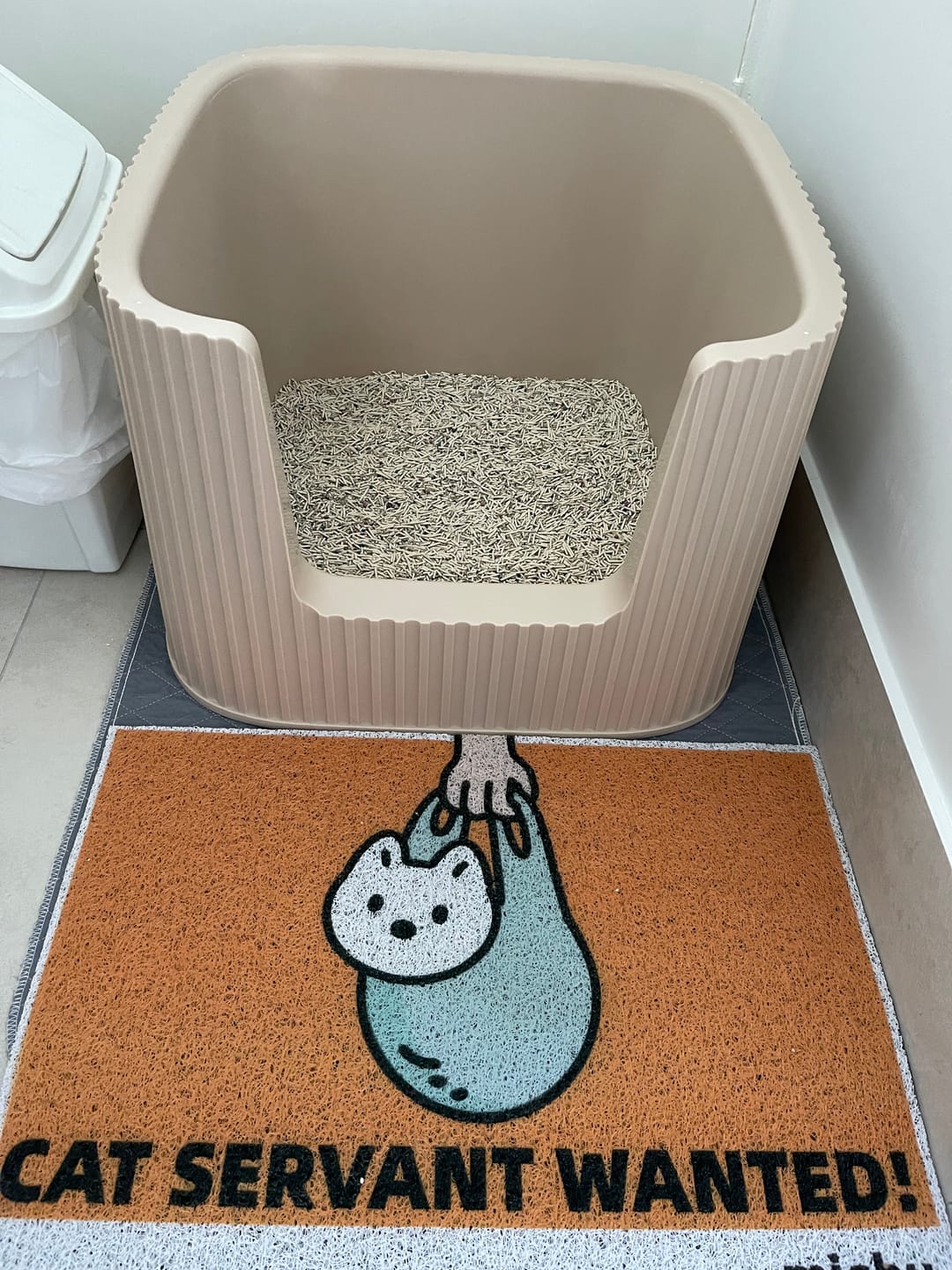 Customer photo review of Michu Premium Mixed Tofu Cat Litter Pro Gen2 6L- Superb in Flushable, Eco-Friendly & Odour-Control