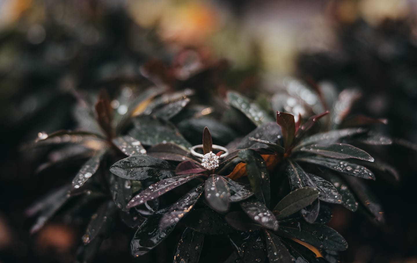 Customer photo review of Catherine | Round Moissanite Solitaire Engagement Ring