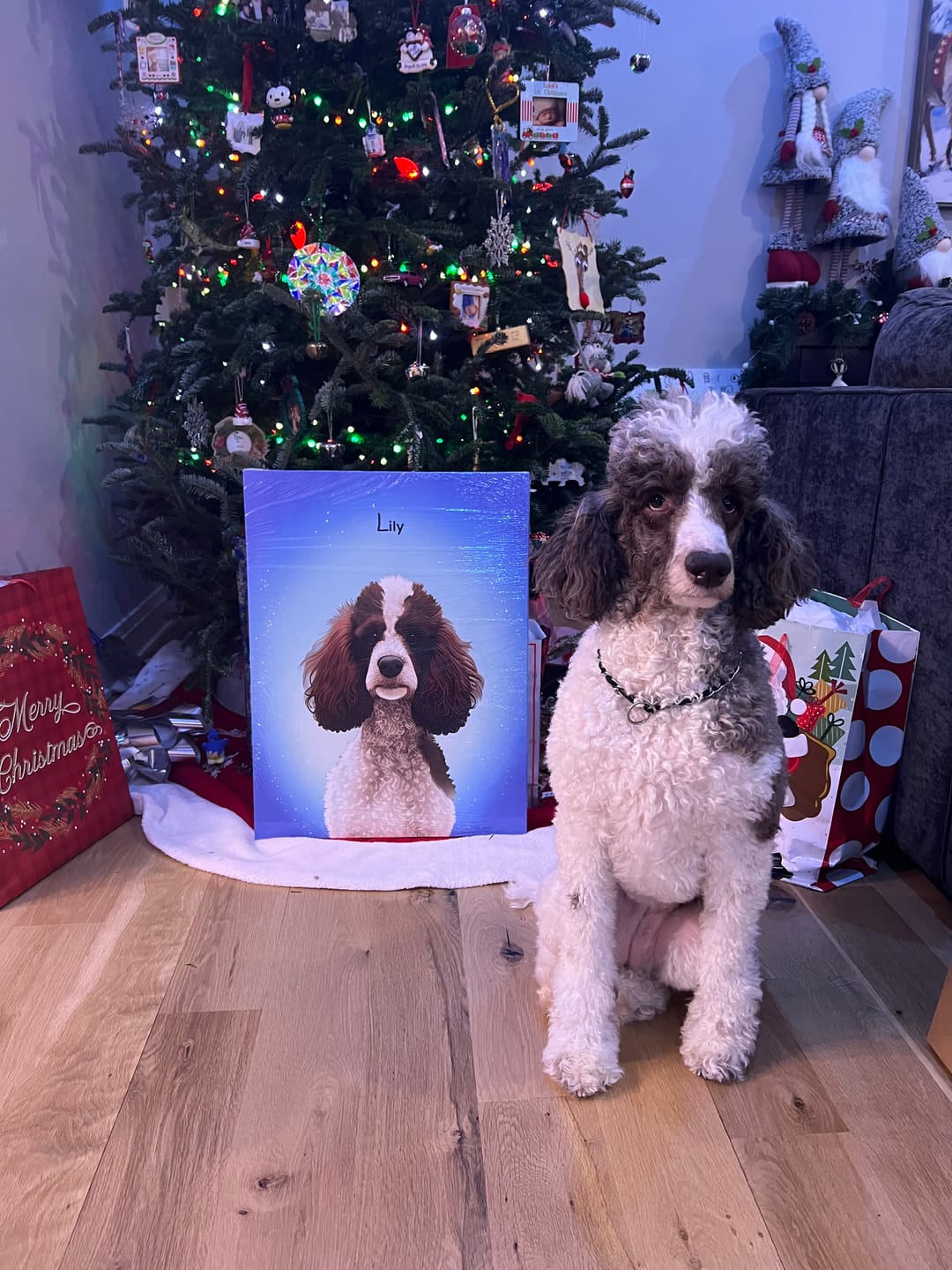 Customer photo review of Custom Pet Portrait