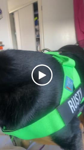 Customer video review of Dog Lovers Pack